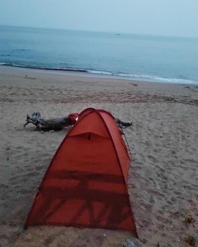 Camping-at-Half-Moon-Beach